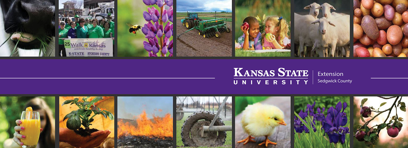 Sedgwick County Extension Council Elections