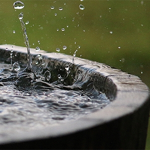 barrel outside filled with water with rain drops falling into it