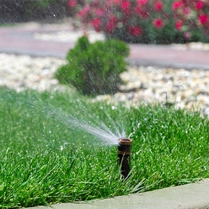 sprinkler watering green grass