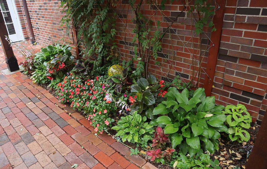 brick walkway with blooming flowers and plants